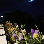 Bloom Box Apartment *