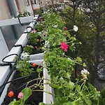 Apartment Bloom Box Craiova