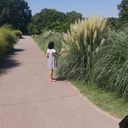 Bloom Box Apartment *