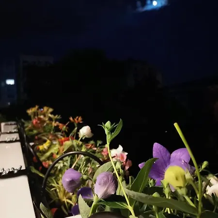 Bloom Box Apartment *