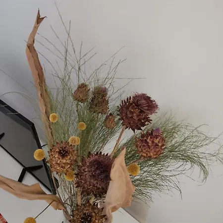 Bloom Box *