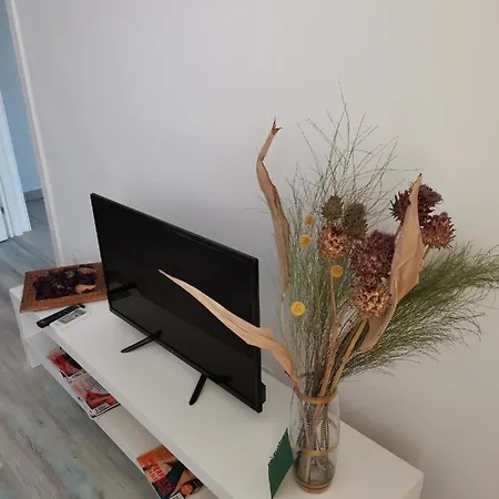 Apartment Bloom Box Craiova