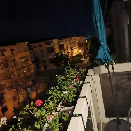 Apartment Bloom Box *