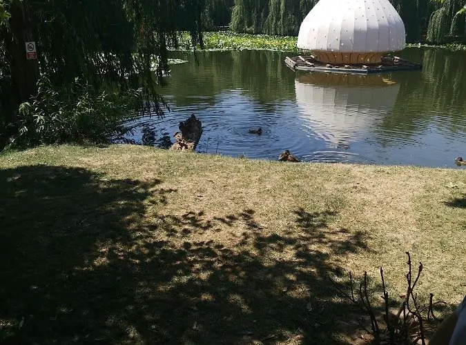 Bloom Box * 克拉奥华