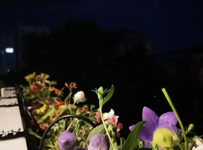 Bloom Box Lejlighed *