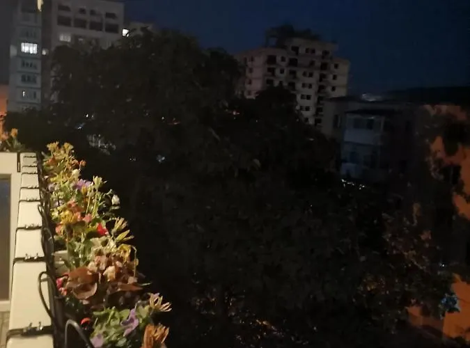 Bloom Box Lejlighed *