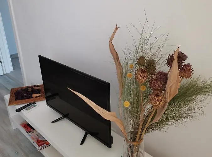 公寓 Bloom Box 克拉奥华